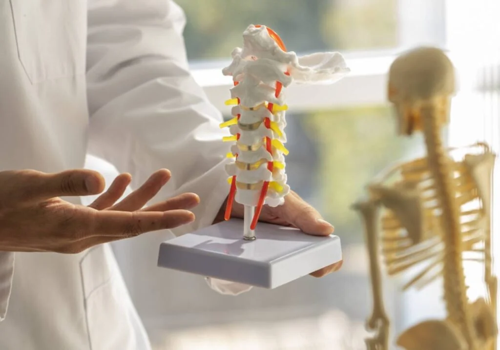 professor de universidade vestindo um jaleco e mostrando um esqueleto da coluna